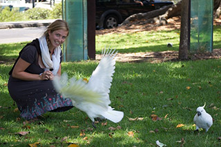 Attack of The Parrots